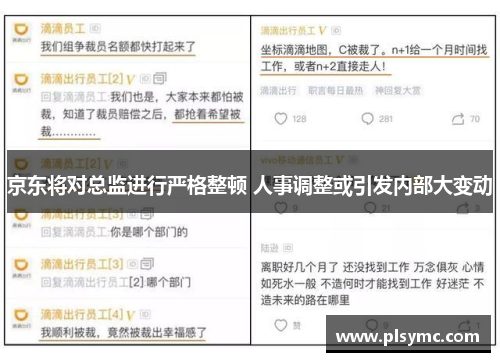 京东将对总监进行严格整顿 人事调整或引发内部大变动